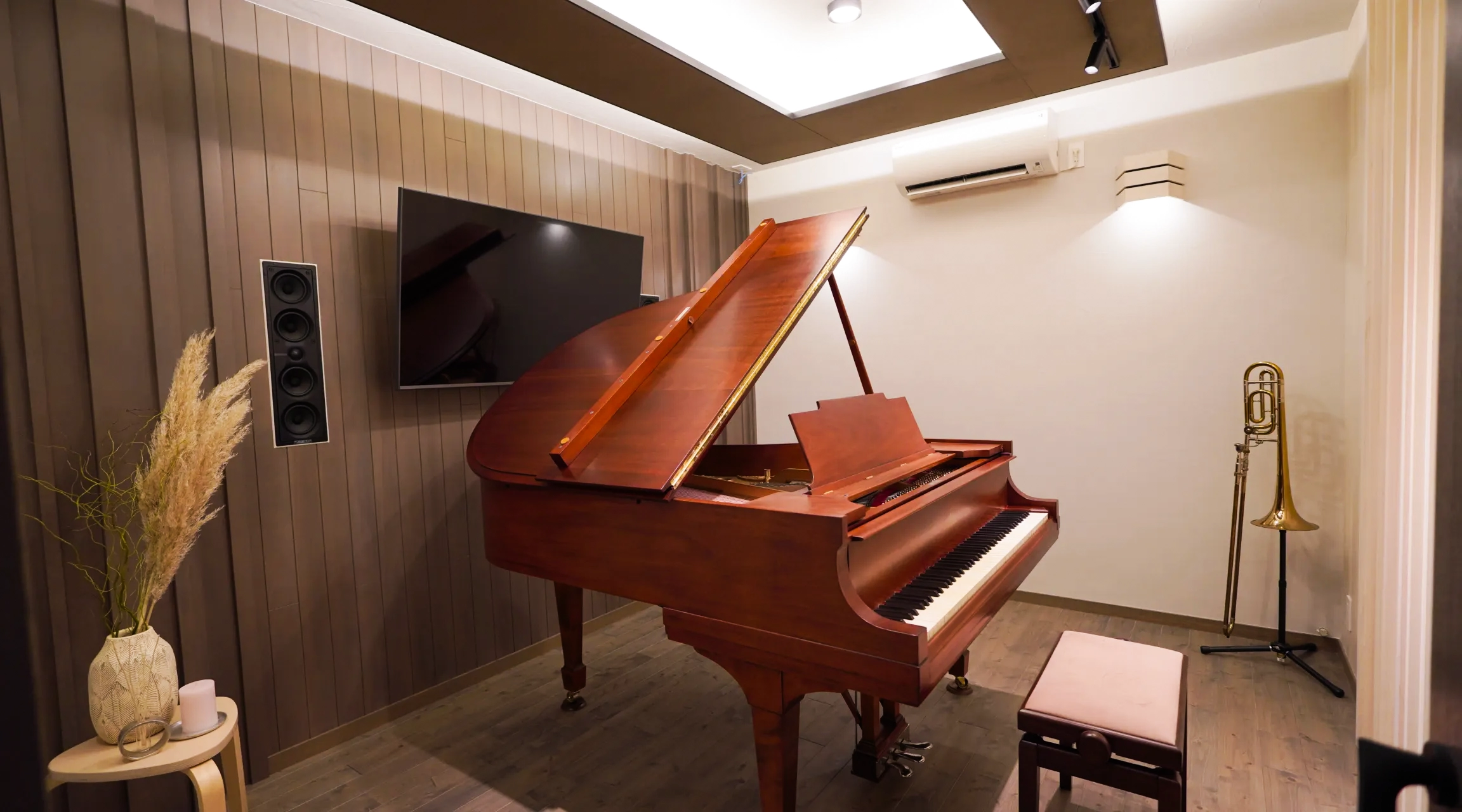 Piano & Music Room 01