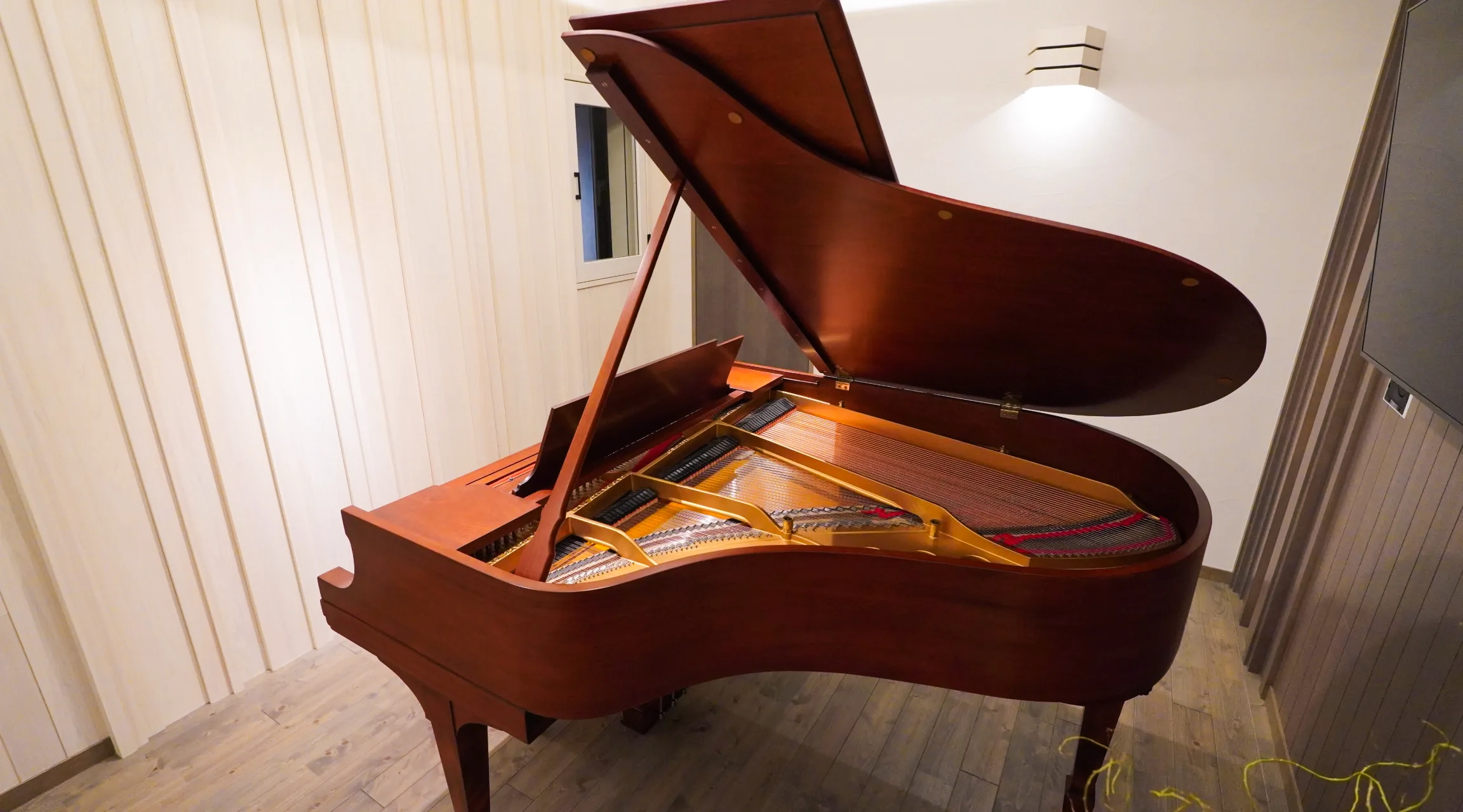 Piano & Music Room 03