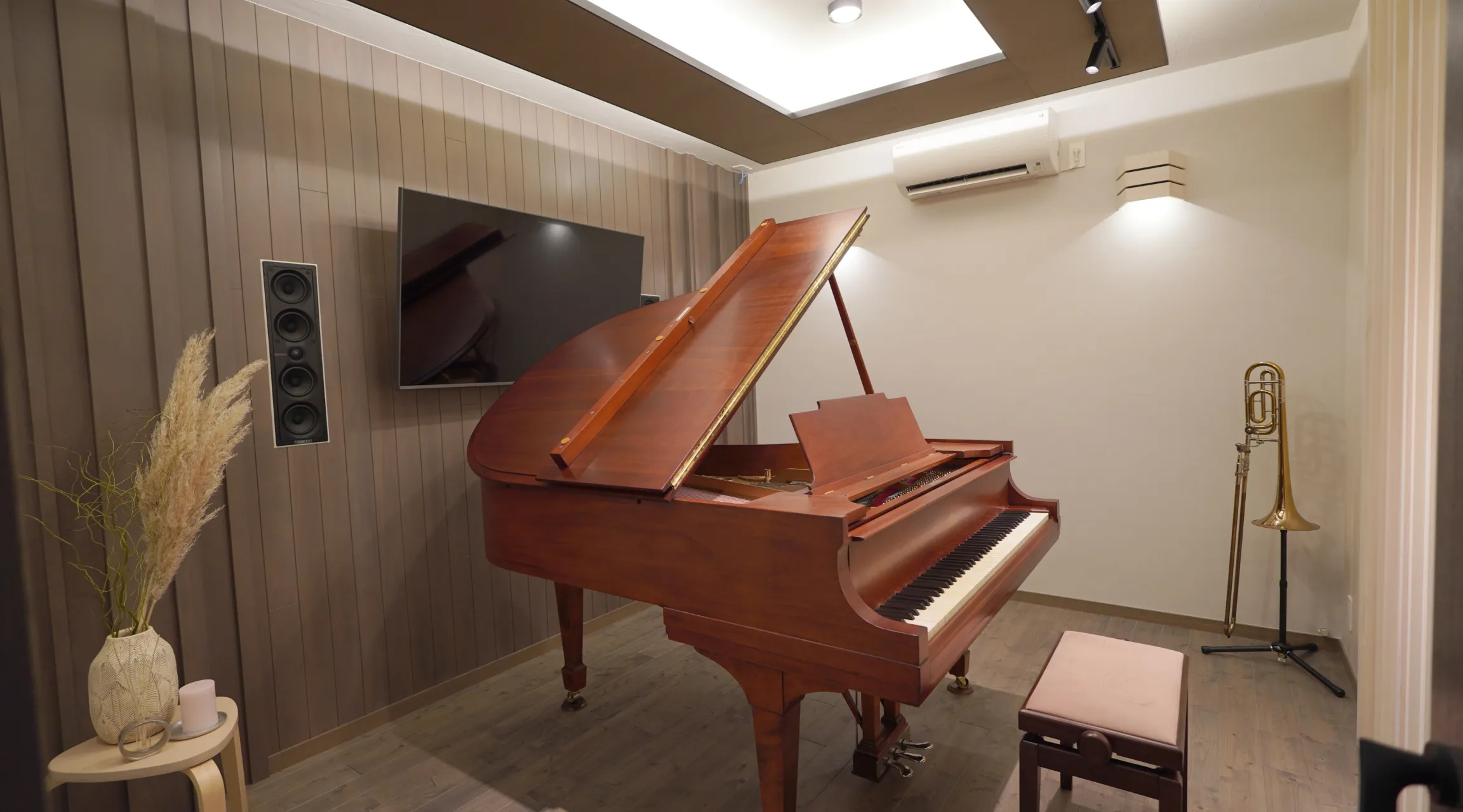 Piano & Music Room 01