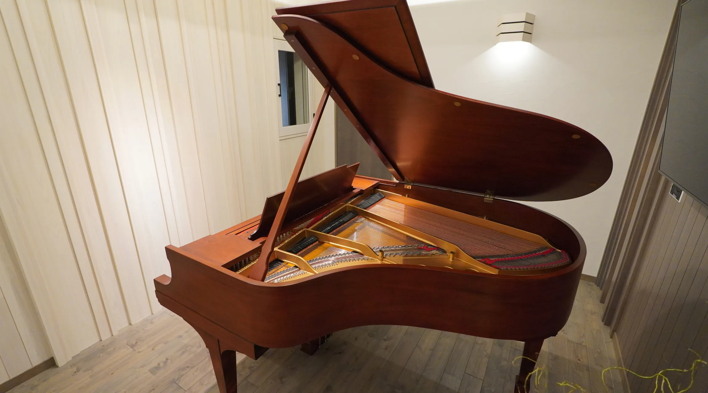 Piano & Music Room 03
